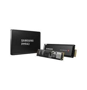 Samsung PM1743  7.6TB U.3   NVMe PCIe 5.0 x4           