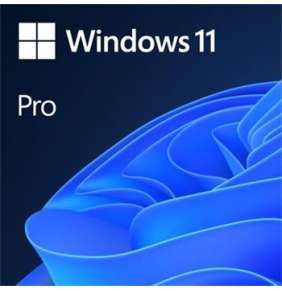 Microsoft OEM Windows 11 Pro  64-Bit English 1pk DVD